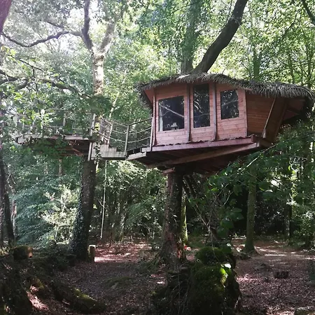 Les Hebergements Insolites De Quenecan